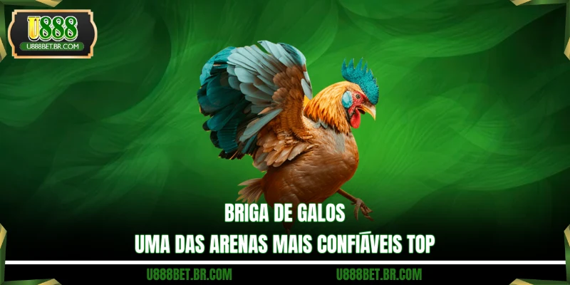 Briga De Galos - Uma Das Arenas Mais Confiáveis Top