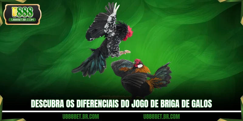 Descubra os diferenciais do jogo de briga de galos