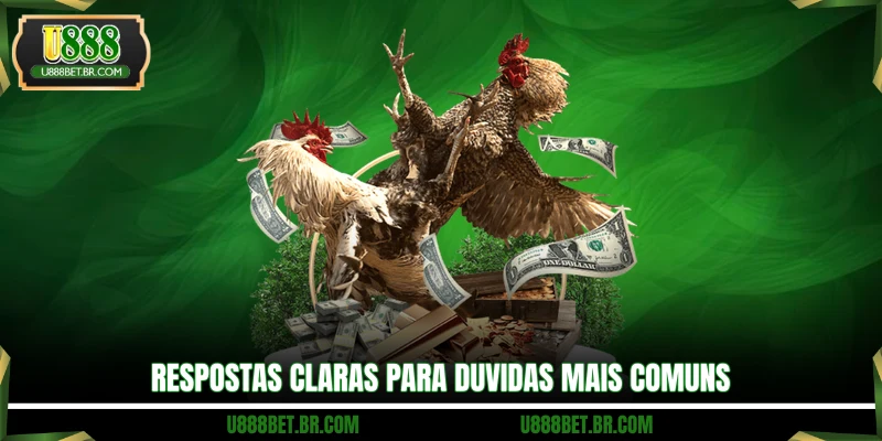 Respostas claras para duvidas mais comuns