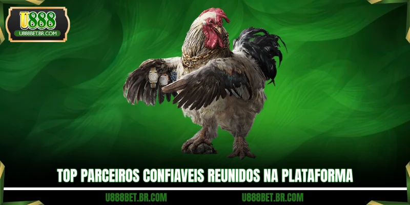 Top parceiros confiaveis reunidos na plataforma